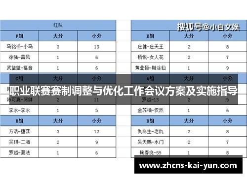 职业联赛赛制调整与优化工作会议方案及实施指导