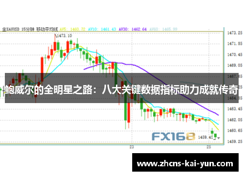 鲍威尔的全明星之路：八大关键数据指标助力成就传奇