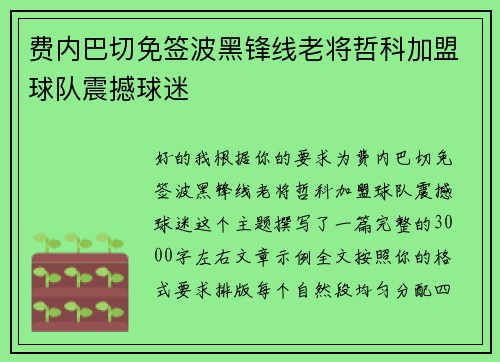 费内巴切免签波黑锋线老将哲科加盟球队震撼球迷